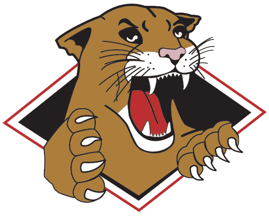 Prince George Cougars 2002-2008 Primary Logo iron on heat transfer...